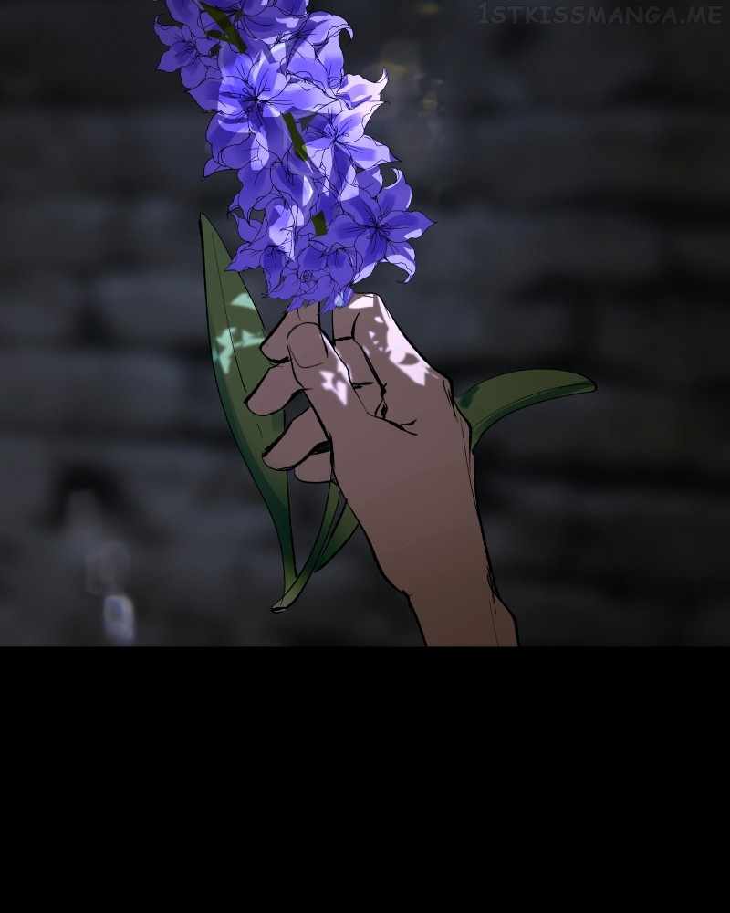 Purple Hyacinth Chapter 163 203